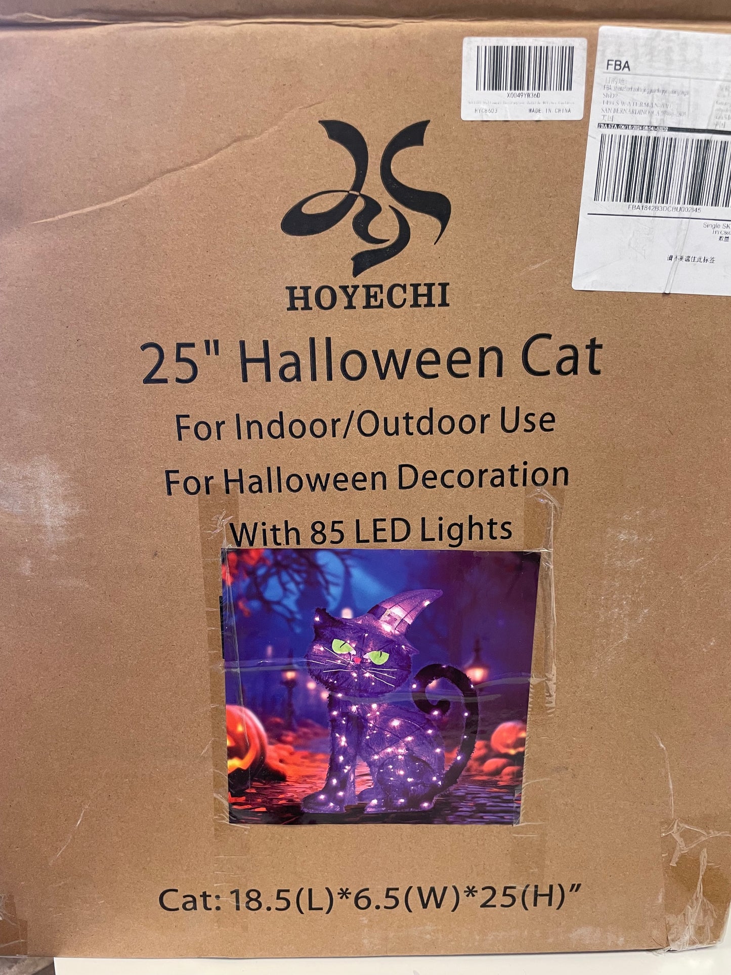 25” indoor or outdoors Halloween cat