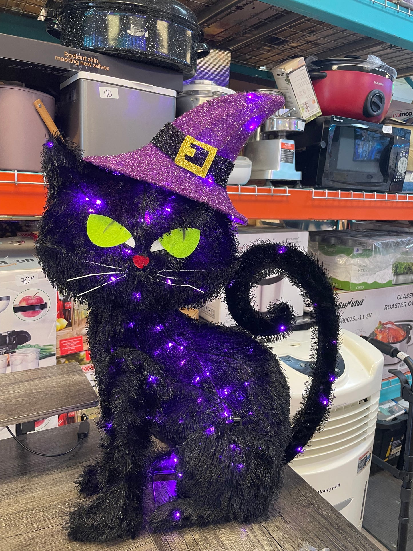 25” indoor or outdoors Halloween cat